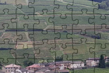 פאזל של Vignoble de Pouilly, Nièvre