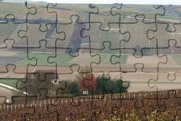 פאזל של Vignoble de Sancerre, Cher
