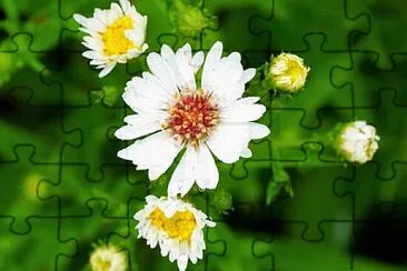 OK jigsaw puzzle