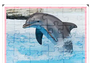 פאזל של rompecabezas delfin