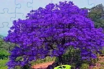 OK jigsaw puzzle