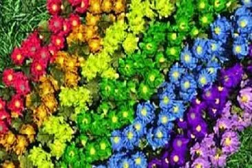 OK jigsaw puzzle