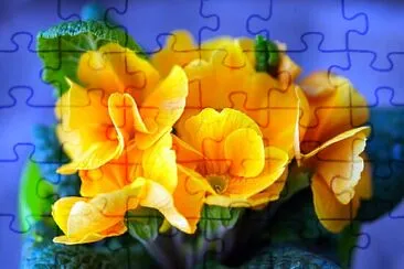 OK jigsaw puzzle