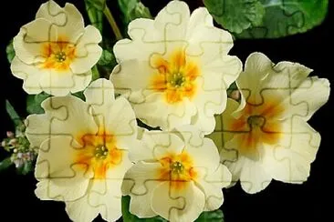 OK jigsaw puzzle