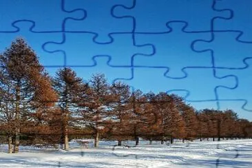 Neve