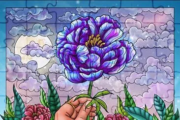  jigsaw puzzle