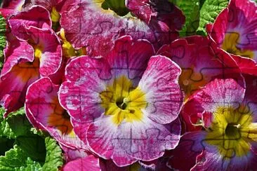 OK jigsaw puzzle