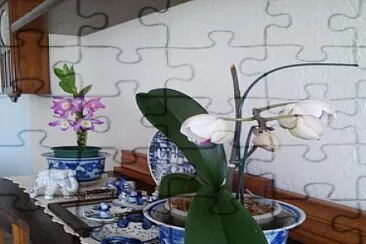 Ilse Checa jigsaw puzzle