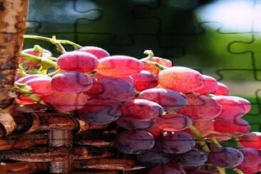 uvas jigsaw puzzle