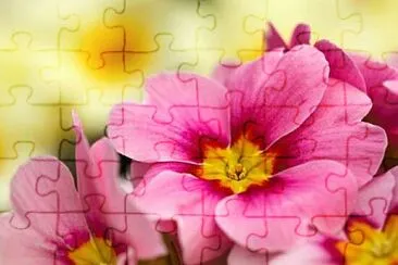 OK jigsaw puzzle