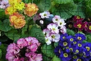 OK jigsaw puzzle