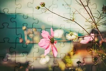 flower jigsaw puzzle