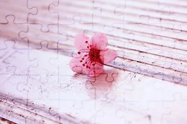 cherry blossom jigsaw puzzle