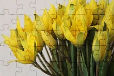 OK jigsaw puzzle