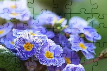 OK jigsaw puzzle