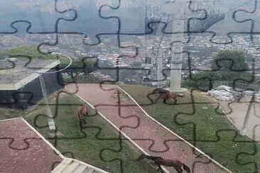 LINEA J jigsaw puzzle