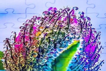 Colorful Water Bubbles