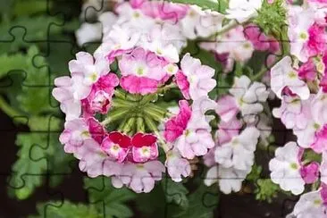 OK jigsaw puzzle