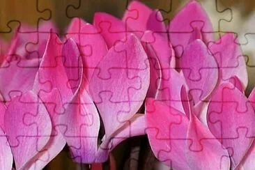OK jigsaw puzzle