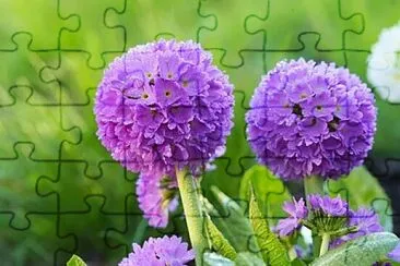 OK jigsaw puzzle