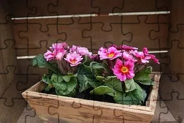 OK jigsaw puzzle