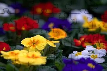 OK jigsaw puzzle