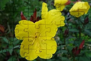 OK jigsaw puzzle