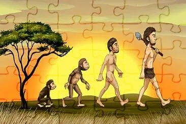 TEORÍAS DE LA EVOLUCIÓN