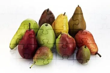 VARIEDAD DE PERAS jigsaw puzzle