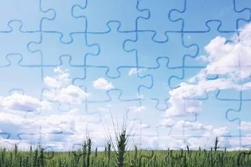 Plantação jigsaw puzzle