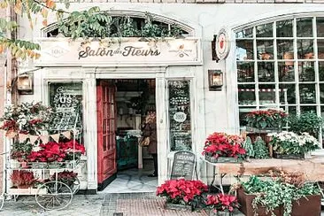 salon de te