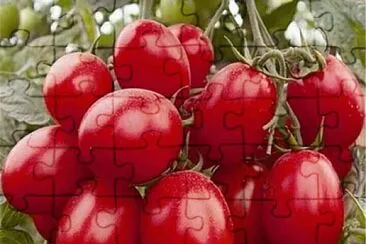 imagem jigsaw puzzle