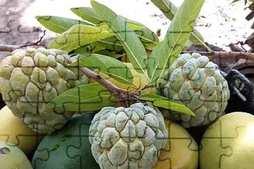 imagem jigsaw puzzle