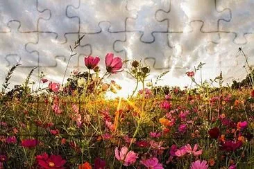 imagem jigsaw puzzle