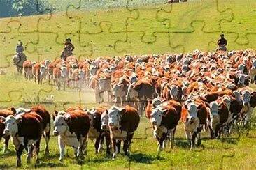 פאזל של El Campo