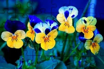 OK jigsaw puzzle