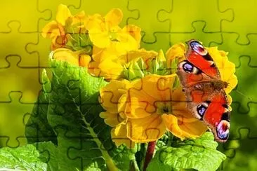 OK jigsaw puzzle