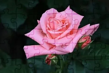 OK jigsaw puzzle