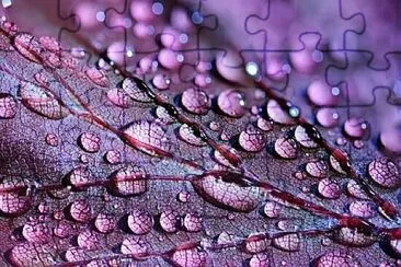 Foto jigsaw puzzle