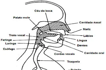 Aula 09.03 Linguagem