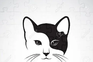 cats10