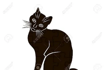cats11