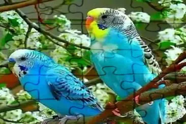 CENÁRIO K457 jigsaw puzzle