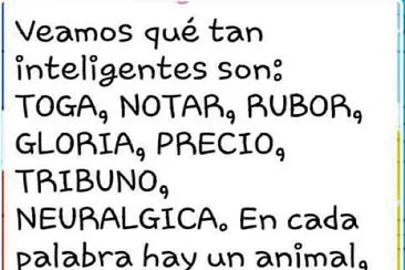 פאזל של Animales