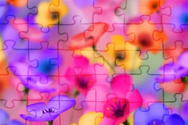 Nice flowers jigsaw puzzle