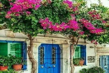 Casa en la Provenza jigsaw puzzle