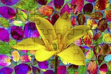 Color Explosion jigsaw puzzle