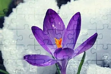paisagem jigsaw puzzle