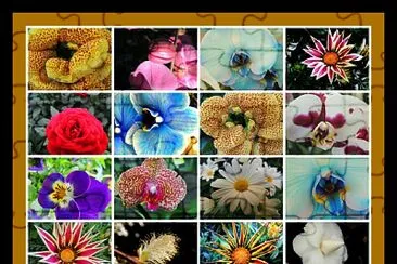 primavera jigsaw puzzle
