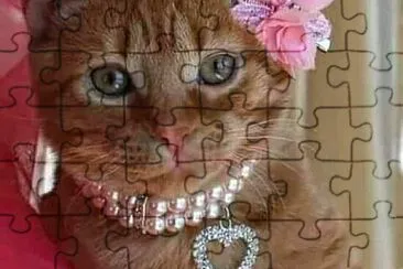 79
